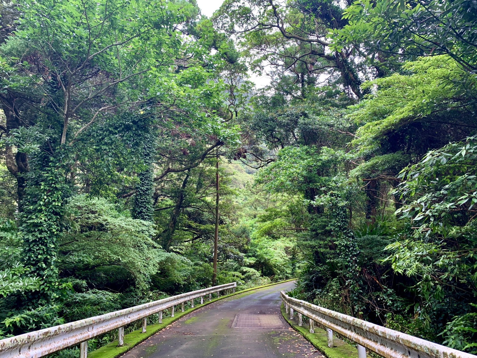 アジサイ荘 風景3