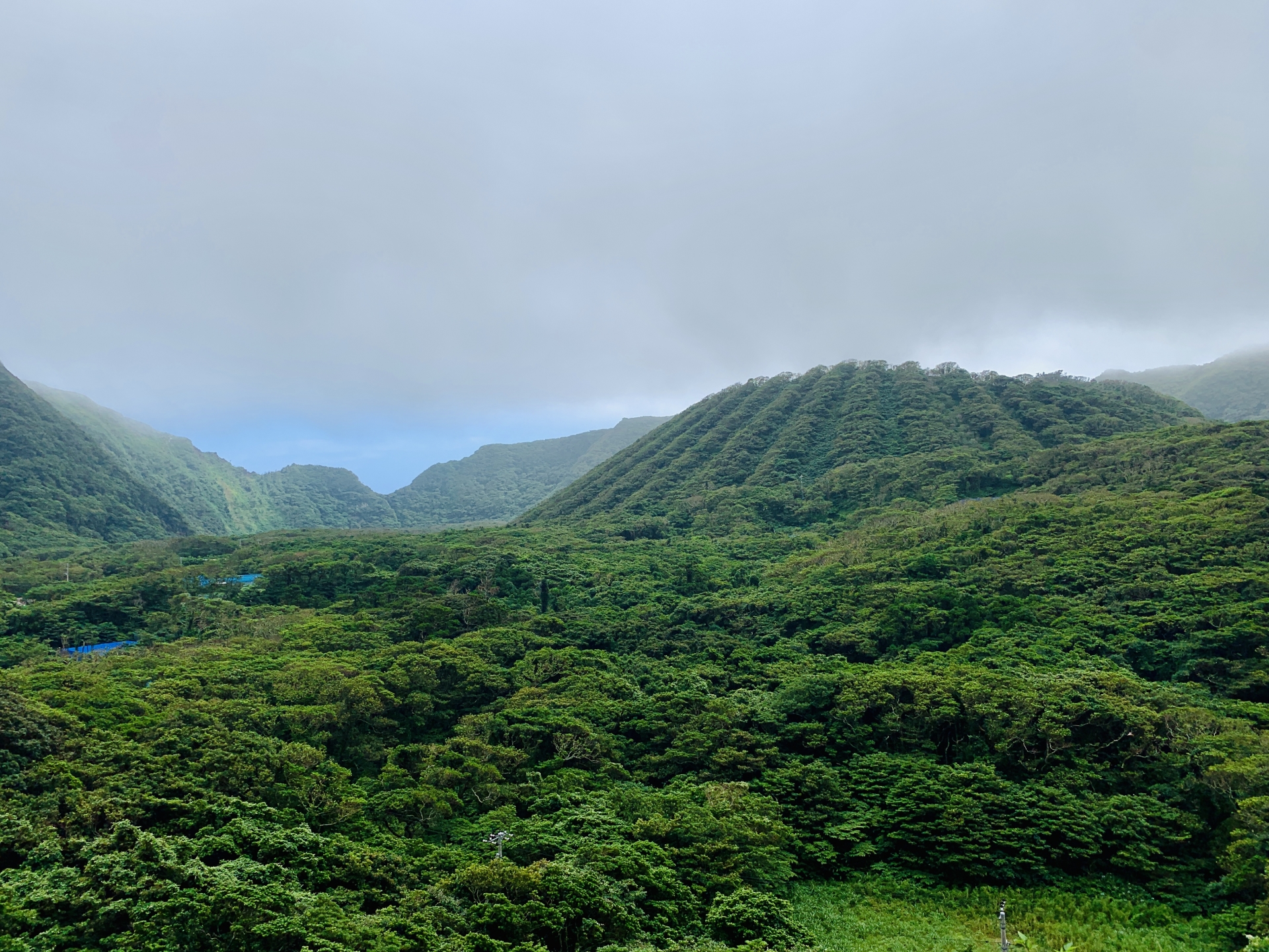 アジサイ荘 風景6