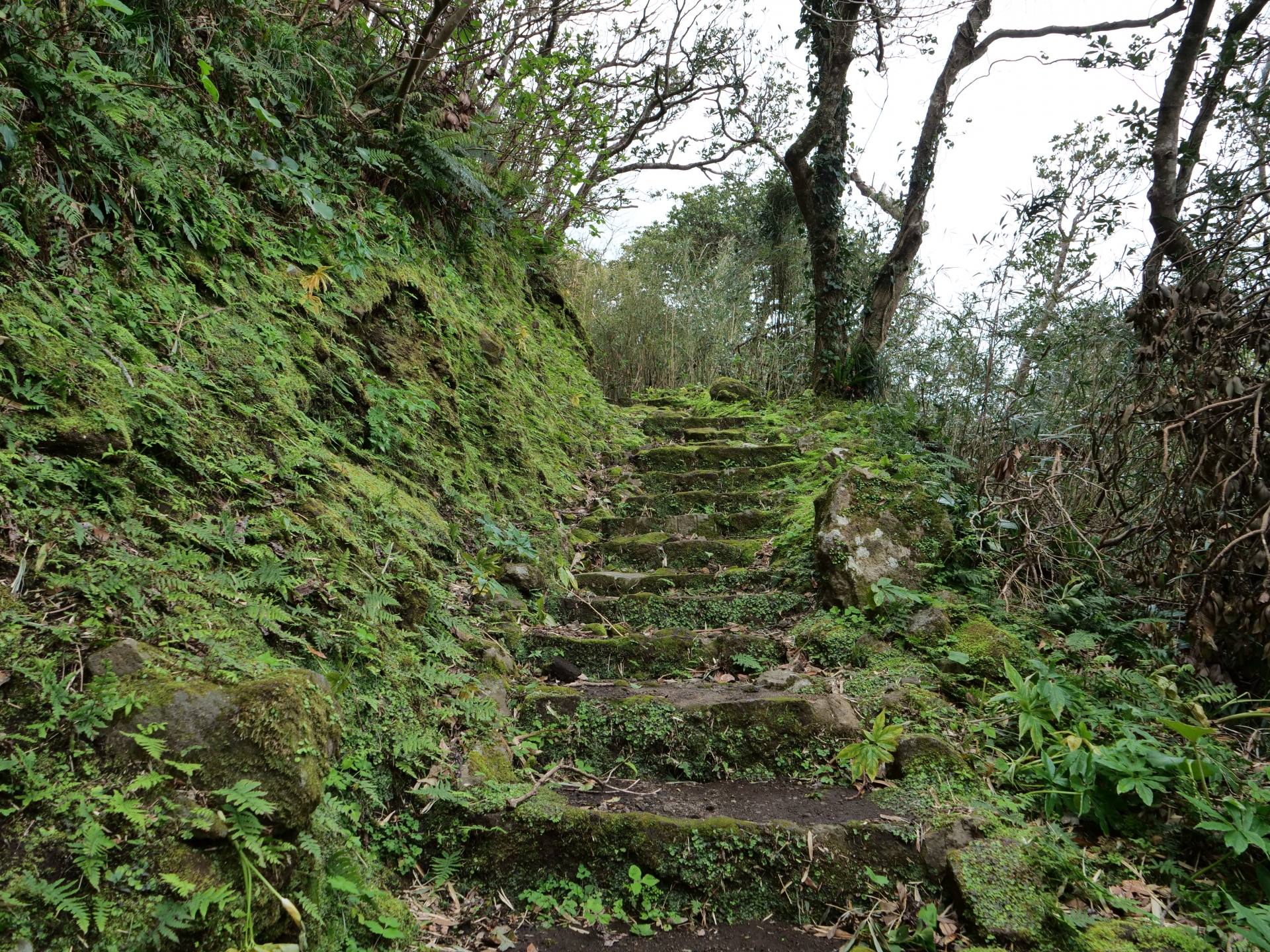 おすすめメニュー2